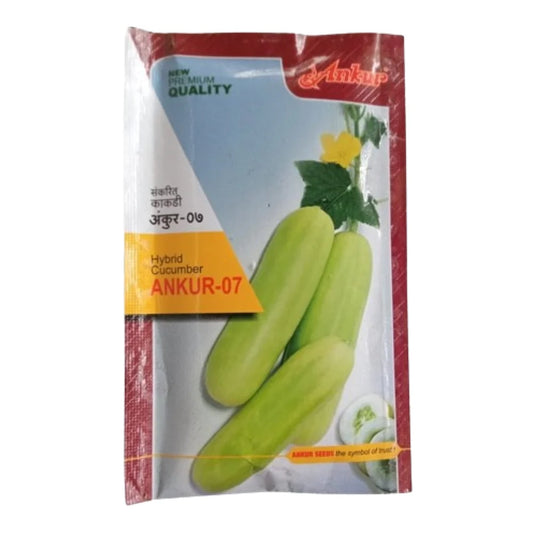 Ankur 07 Hybrid Cucumber Seeds