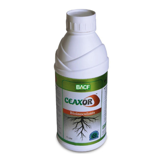 बीएसीएफ सीएक्सर फॉस्फेट घुलनशील बैक्टीरिया | BACF Ceaxor Phosphate Solubilizing Bacteria