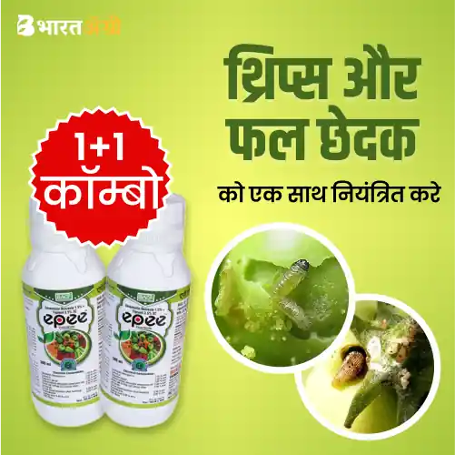 बीएसीएफ एपी कीटनाशक - 250 मिली (1+1 कॉम्बो) | BACF Epee Insecticide - 250 ml (1+1 Combo)