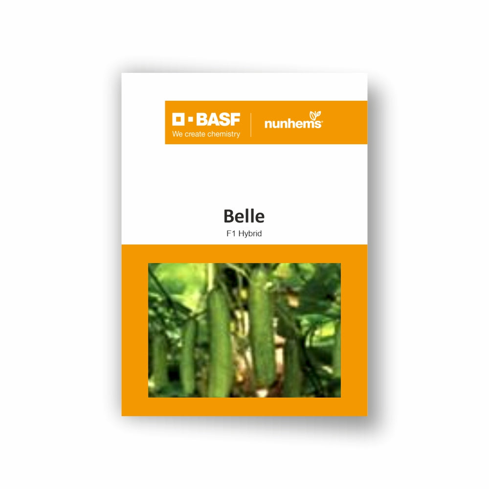 बीएएसएफ ननहेम्स बेले खीरे के बीज | BASF Nunhems Belle Cucumber Seeds
