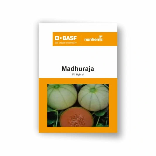 BASF Nunhems Madhuraja Muskmelon Seeds_1_BharatAgri Krushidukan