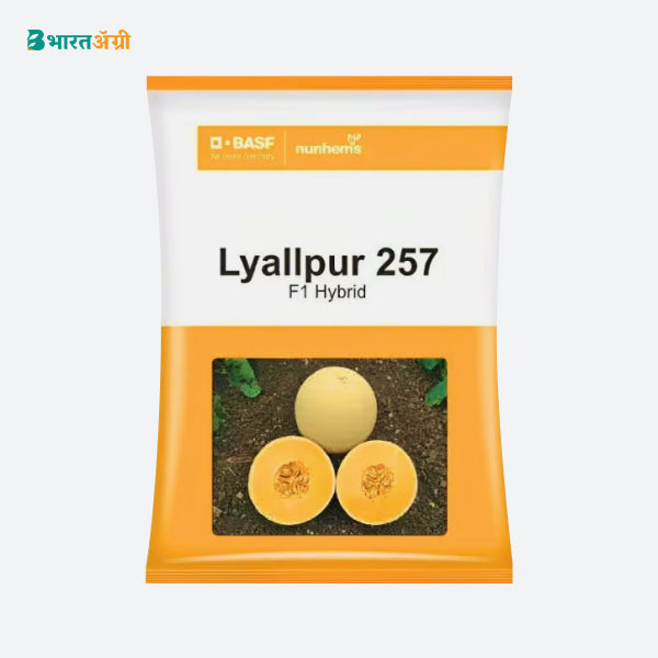 BASF Nunhems F1 Hybrid Lyallpur 257 Muskmelon Seeds (BharatAgri KrushiDukan)