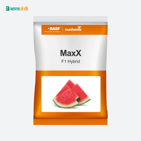 BASF Nunhems MaxX Watermelon Seeds (BharatAgri KrushiDukan)