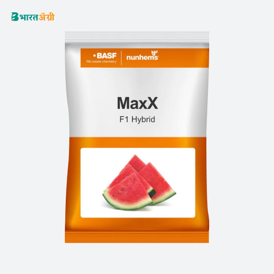 BASF Nunhems MaxX Watermelon Seeds (BharatAgri KrushiDukan)