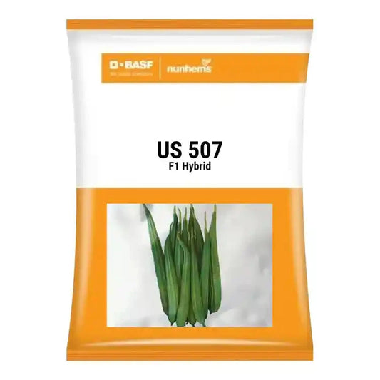 BASF Nunhems US-507 F1 Hybrid Ridge Gourd Seeds