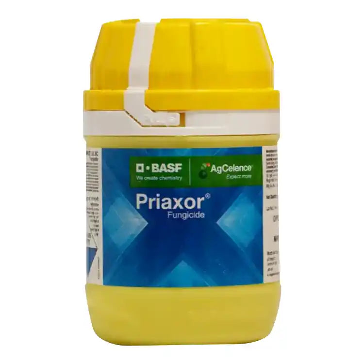 BASF Priaxor Fungicide Pyraclostrobin + Fluxapyroxad