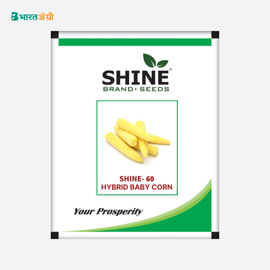 Baby Corn Shine 60 Hybrid - BharatAgri Krushidukan_1