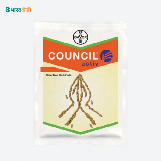 Council Active (Triafamone 20% + Ethoxysulfuron 10% WG) Herbicide_1