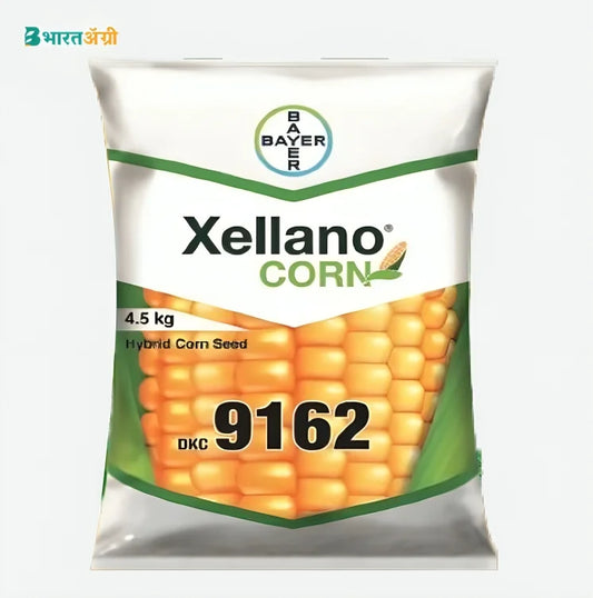 Bayer Xellano Corn DKC 9162 Maize Seeds | BharatAgri Krushidukan