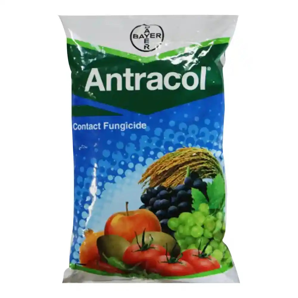 Bayer Antracol (Propineb 70% WP) Fungicide