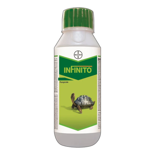 Bayer Infinito Fluopicolide 5.56% + Propamocarb Hydrochloride 55.6% Fungicide