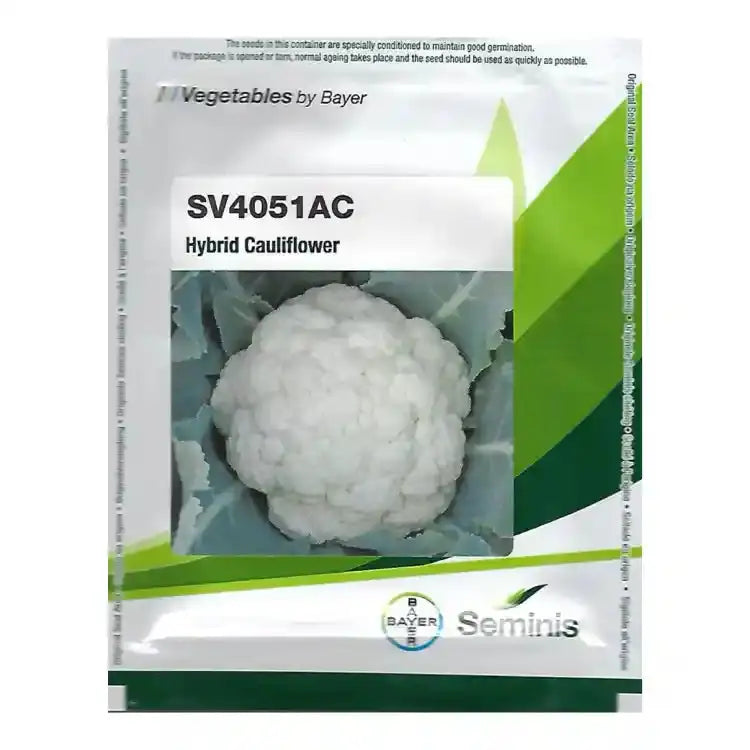 Bayer Seminis SV4051AC Hybrid Cauliflower Seeds