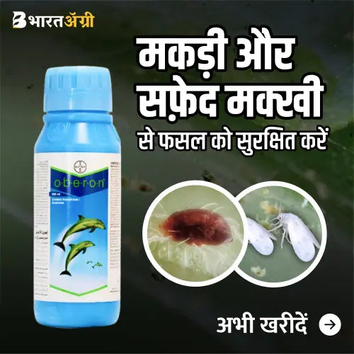 Bayer Oberon insecticide_BharatAgri KrushiDukan