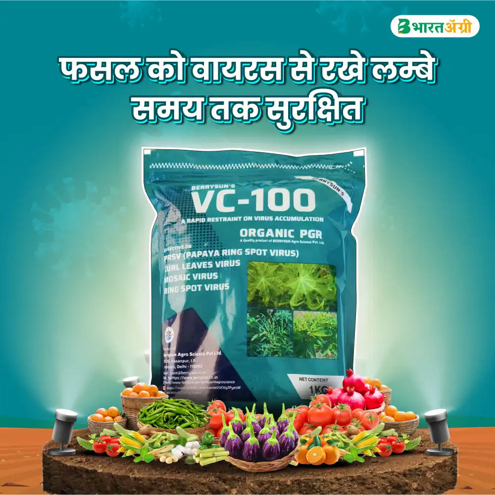 Berrysun VC-100 Best Effective on Viral Diseases