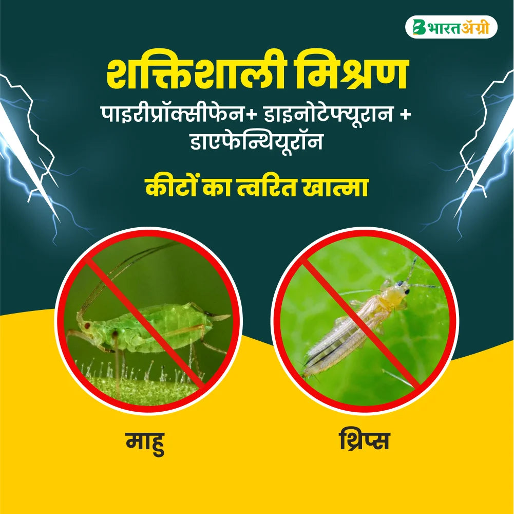 बेस्ट एग्रोलाइफ़ रॉनफेन कीटनाशक