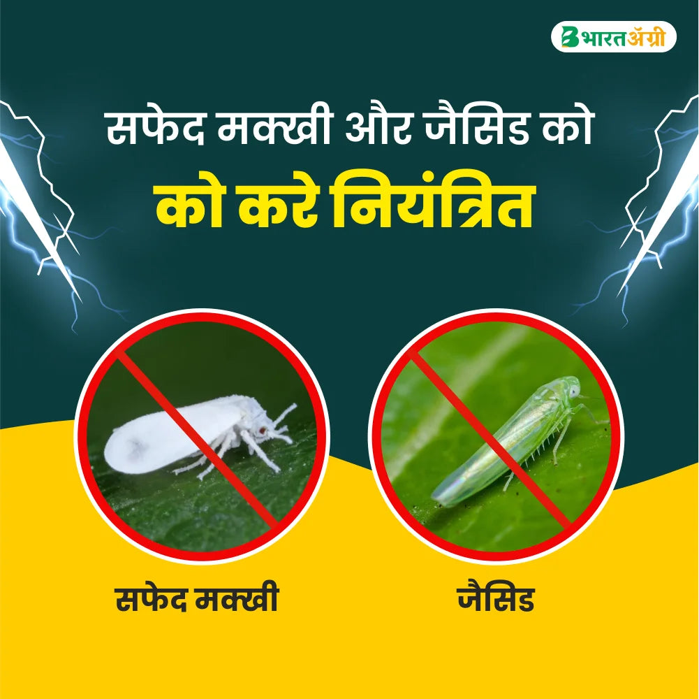 बेस्ट एग्रोलाइफ़ रॉनफेन कीटनाशक