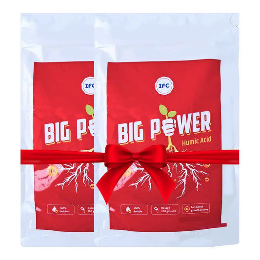 IFC Big Power (Humic Acid 98% Water Soluble) (1+1 Free)