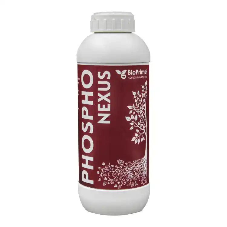 Bioprime Phosphonexus (Phosphate Solubilising Bacteria) Bio Fertilizer