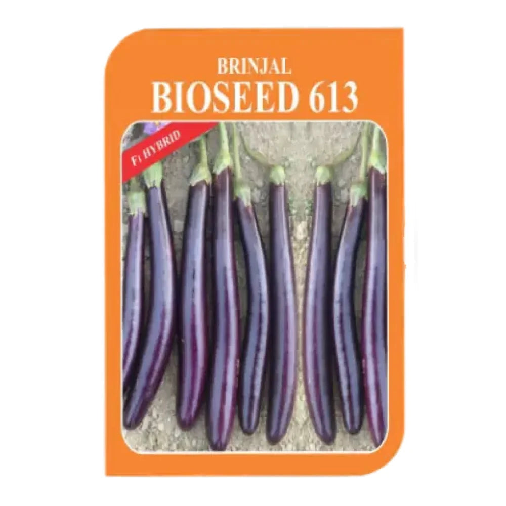बायोसीड 613 बैंगन के बीज | Bioseed 613 Brinjal Seeds