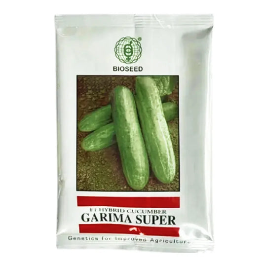 बायोसीड गरिमा सुपर हाइब्रिड खीरे के बीज | Bioseed Garima Super Hybrid Cucumber Seeds