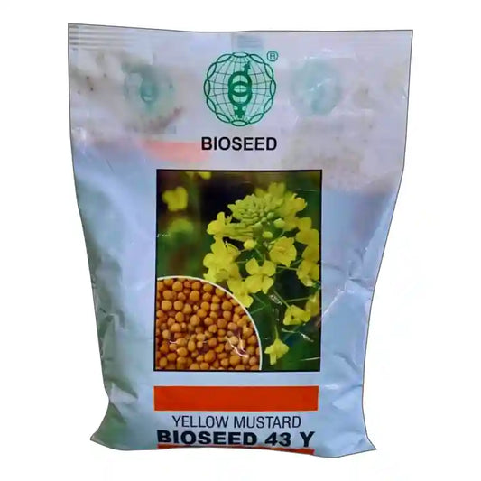 Bioseed Hybrid 43Y Mustard Seeds