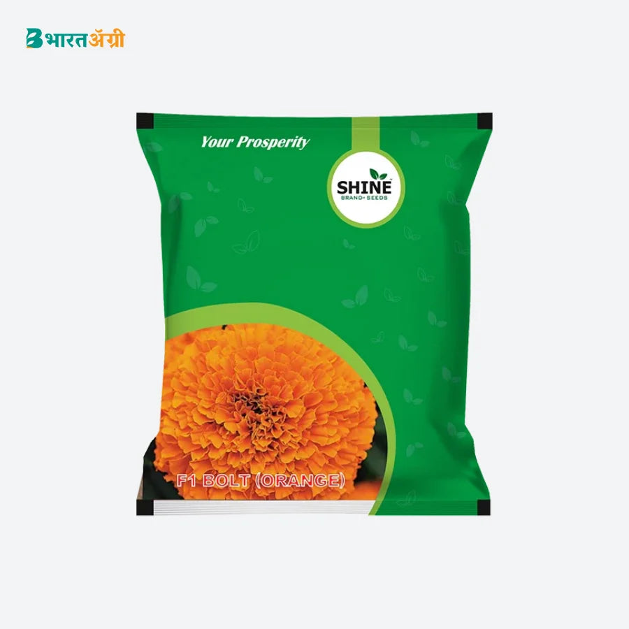 Shine Bolt Orange F1 Hybrid Marigold Seeds (1+1 Free)