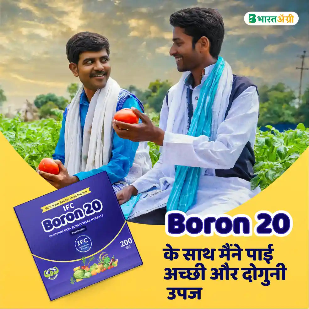 IFC Boron 20 Fertilizer