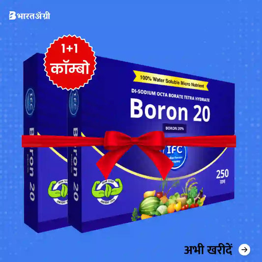 IFC Boron 20 Fertilizer (Boron 20%) (1+1 Combo)