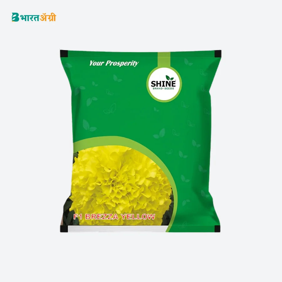 Shine F1 Brezza Yellow Marigold Seeds (1+1 Free)