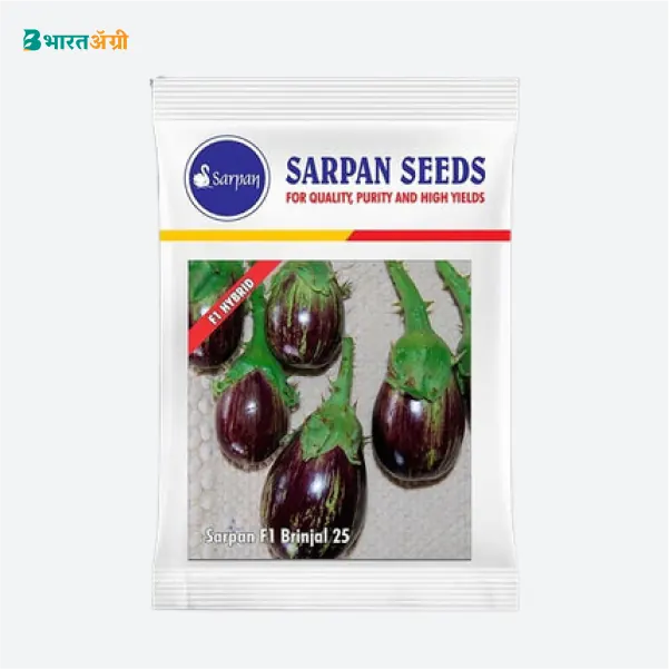Sarpan F1 Hybrid Brinjal- 25 Brinjal Seeds (1+1 Combo)