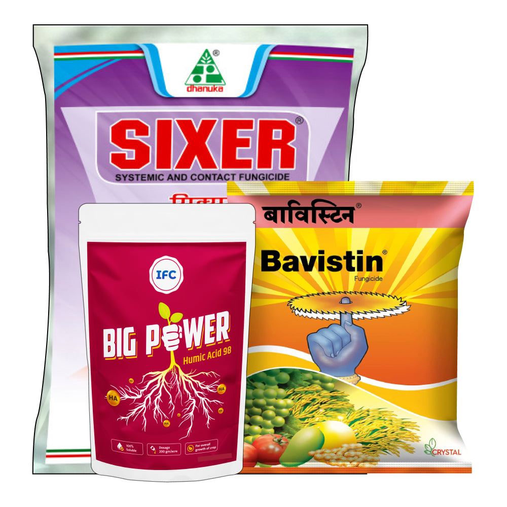 Brinjal Badhat Kit - Wilt Disease Control and Root Growth (0-15 days)