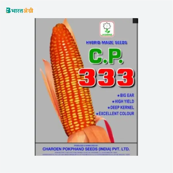 CP 333 Hybrid Maize Seeds_2_BharatAgri Krushidukan