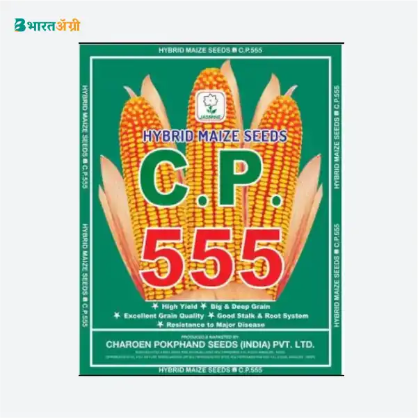 CP 555 Hybrid Maize Seed_2_BharatAgri Krushidukan