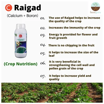 Farmguru Raigarh CB+ Plant Growth Promoter