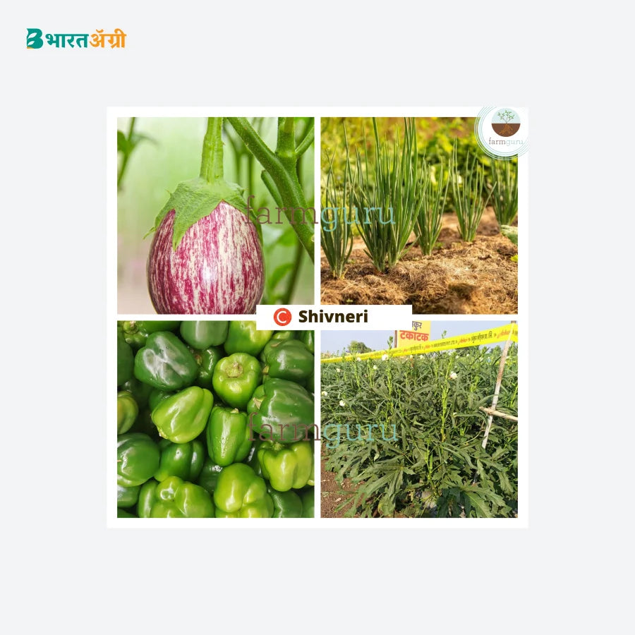 Farmguru C Shivneri PSM Crop Nutrition