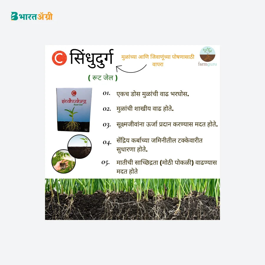 Farmguru C Sindhudurg Crop Nutrition