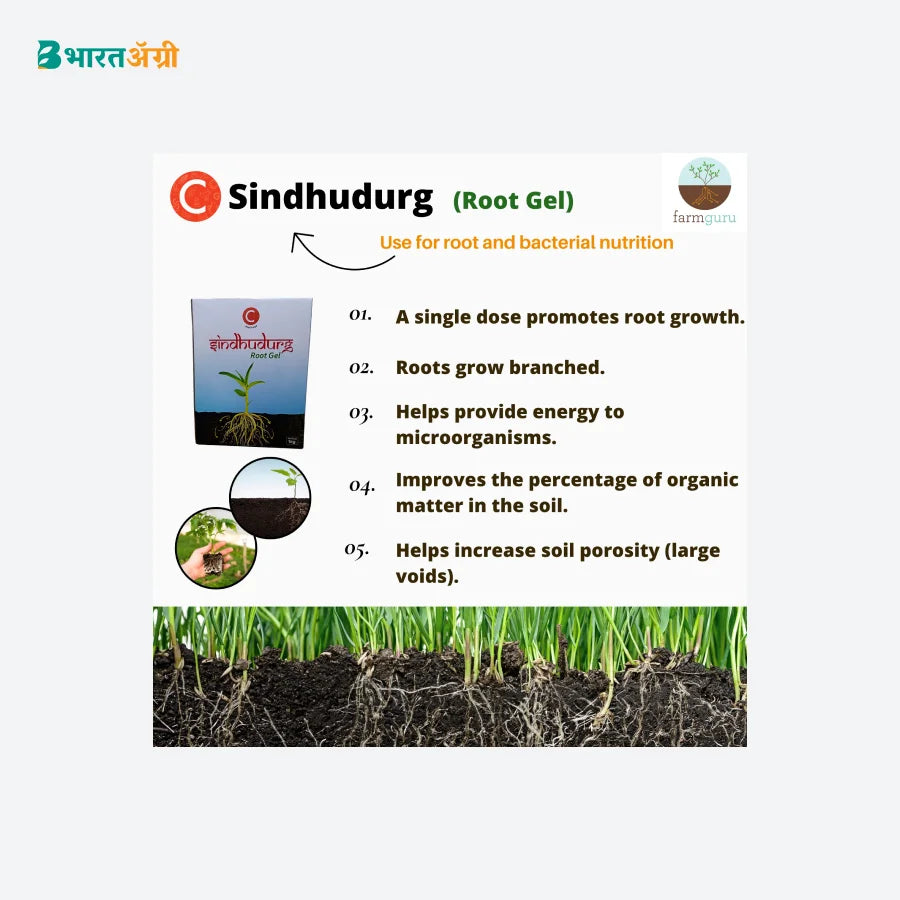 Farmguru C Sindhudurg Crop Nutrition