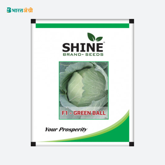 Cabbage Green Ball F1 - Shine Brand Seeds - BharatAgri Krushidukan_1