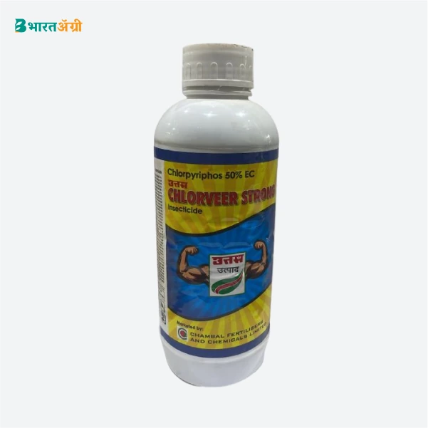 Chambal Chlorveer Strong (Chloropyriphos 50% EC) Insecticide_1