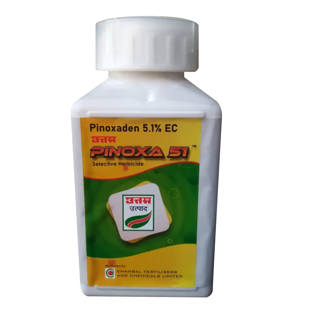 चंबल फर्टिलाइजर्स पिनोक्सा (पिनोक्साडेन 5.1% EC) शाकनाशी | Chambal Fertilisers Pinoxa (Pinoxaden 5.1% EC) Herbicide