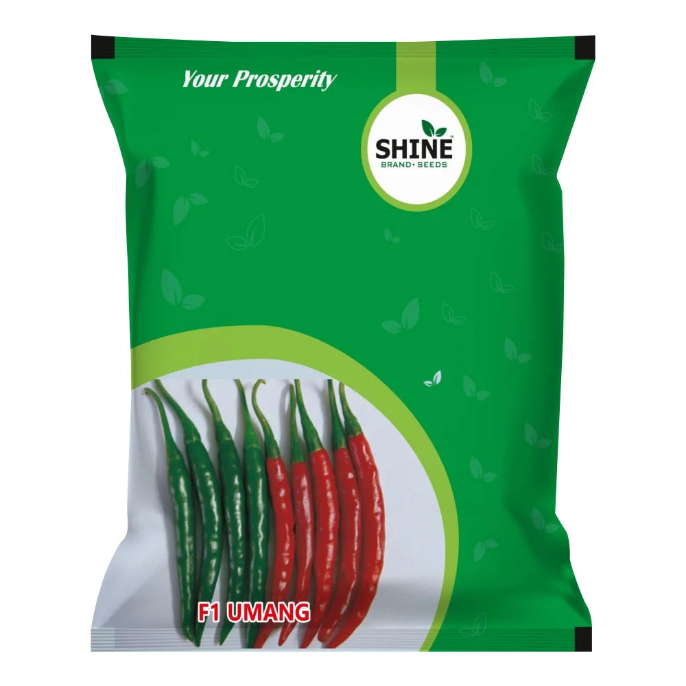 Shine Umang Chilli Seeds (10gm) + Jumbo Tomato Seeds (10gm) (1+1 Free)