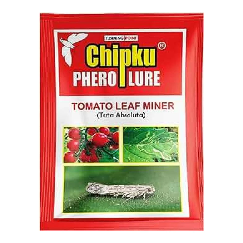 चिपकू टमाटर लीफ माइनर लूर - 10 का पैक | Chipku Tomato Leaf Miner Lure - Pack of 10