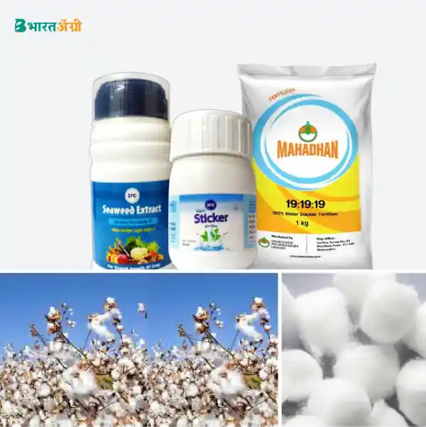 Cotton Badhat Kit - Growth (15-35 days)_1_BharatAgri Krushidukan