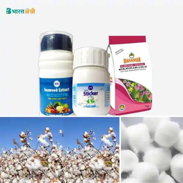 Cotton Badhat Kit - Flowering (45 - 75 days)_1_BharatAgri Krushidukan