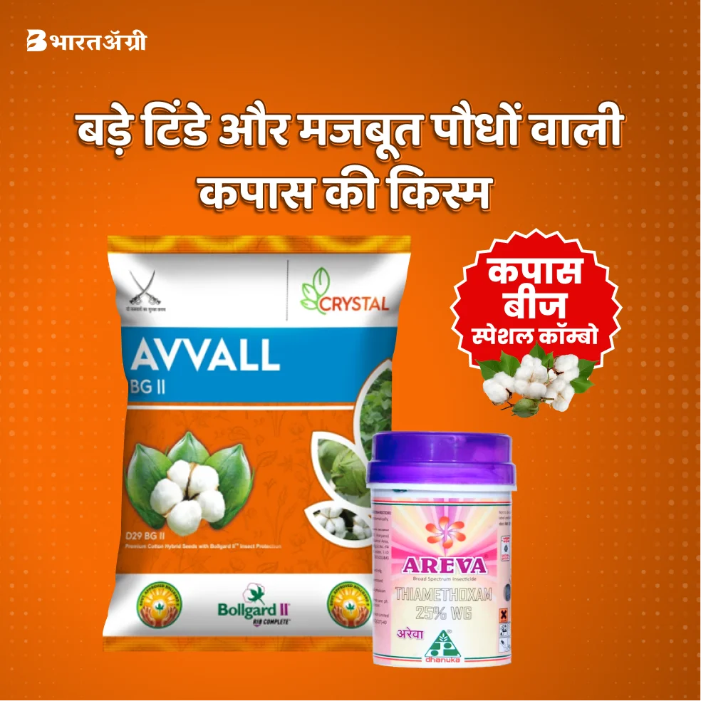 Crystal Avval Cotton Seeds (475gm x 2) + Dhanuka Areva (500 gm) Combo