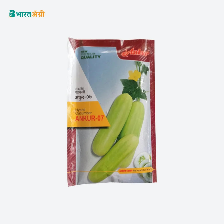 Ankur 07 Hybrid Cucumber Seeds