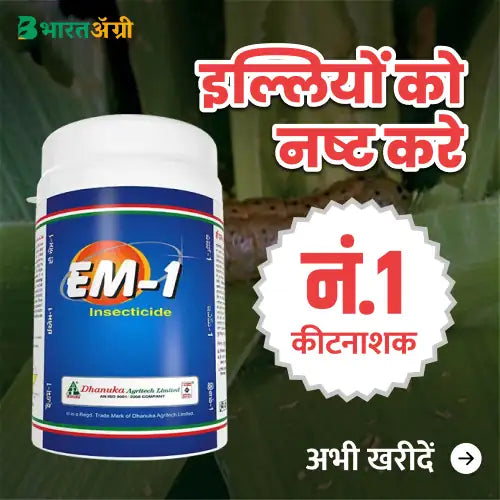 Mahadhan Calcium Nitrate (1 Kg) + Dhanuka Em1 (50 gm)_2_BharatAgri