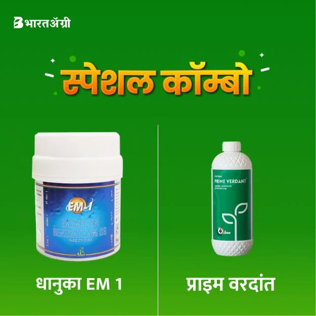 Dhanuka Em 1 (100 gm) + Prime Verdant (100 ml)