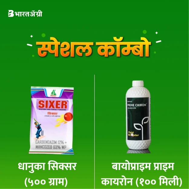 Dhanuka Sixer (500 gm) + Bioprime Prime Chiron (100 ml)1