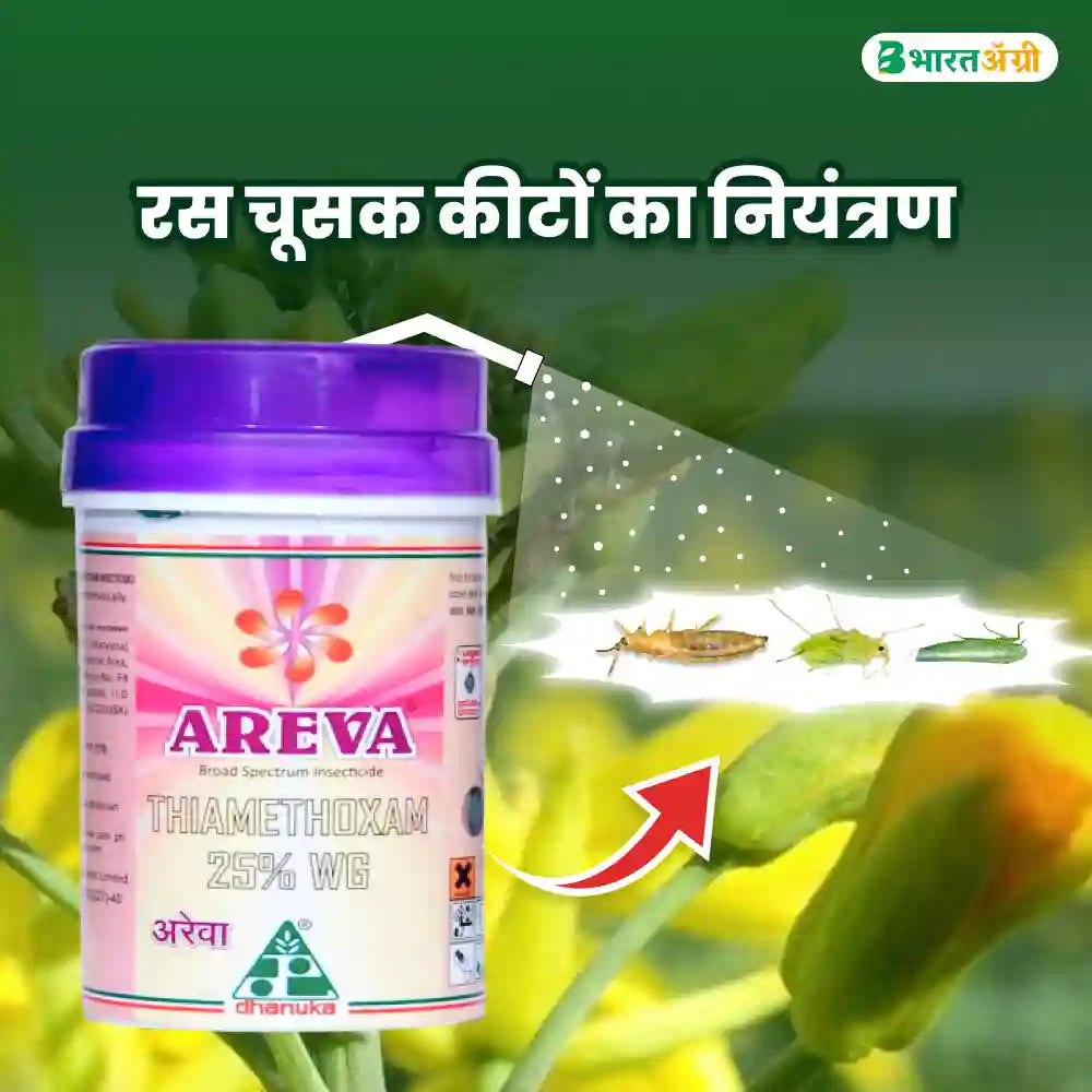 Dhanuka Areva (Thiamethoxam 25% WG) Insecticide (1+1 Free)